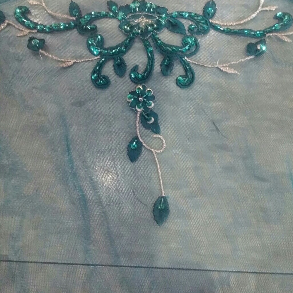 🔥Hand crafted sequined Choli/sheer cover - Picture 3 of 4